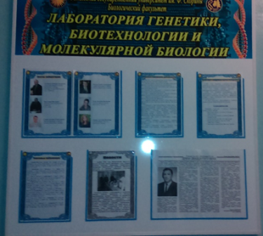 Aleshkopppppppppppp20162