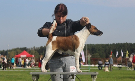 CVETKOVAIMG 1608