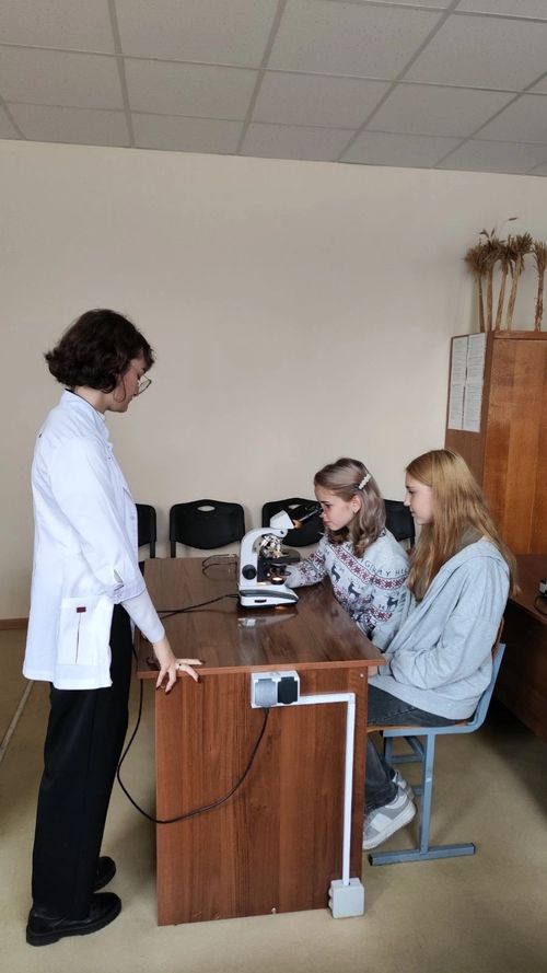 Image-2