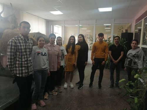 Image-4