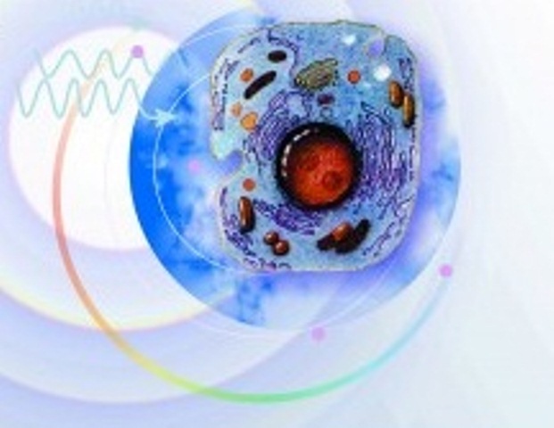 radbio