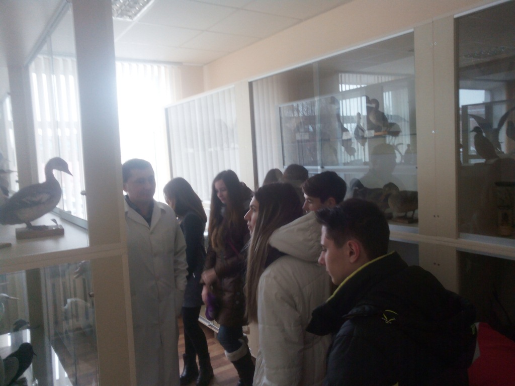 surkov9564d54f14