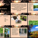 Belarus nature