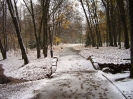 nesvizh_7